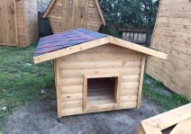 ������� � �����