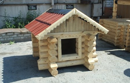 ������� � �����