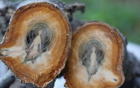 ������� ������