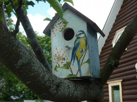 ��� ������� ���������� ������ ������