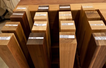 ������ ���������: ������� ���, �������� � ������� ����������