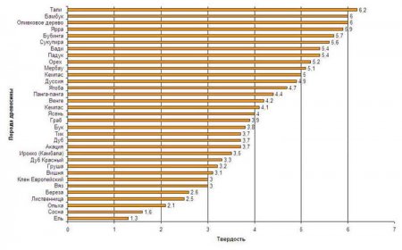 ������ ���������: ������� ���, �������� � ������� ����������