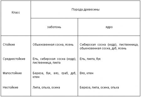 ������ ���������: ������� ���, �������� � ������� ����������