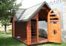 ������� � �����