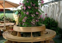 ������� ��������