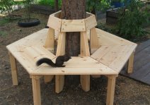 ������� ��������