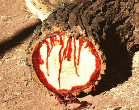 �������� ������