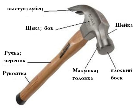 ���������� �������