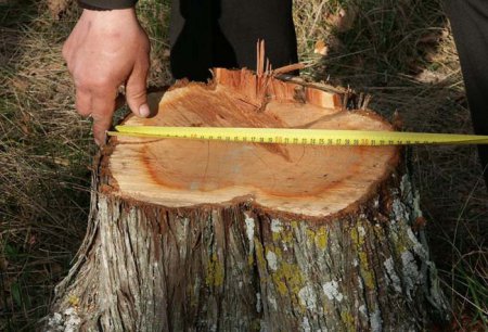 ������ ���������: ��� �� �����